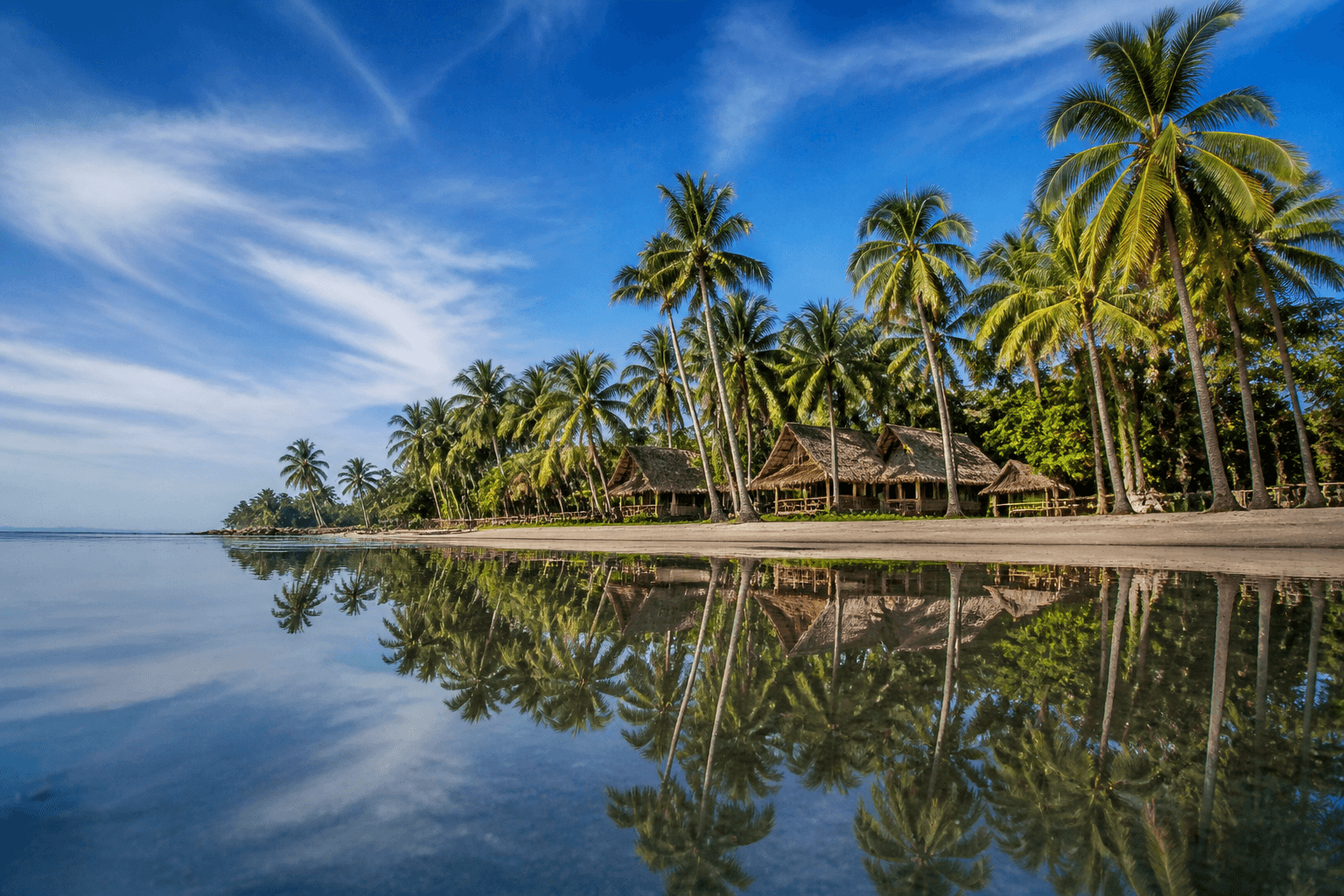 Palm trees reflected in calm Gulf waters